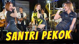 Shinta Arsinta - SANTRI PEKOK (Official Music Video ANEKA SAFARI)