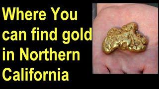 Expert Reveals Gold Nugget Hunting Secrets for Northern California