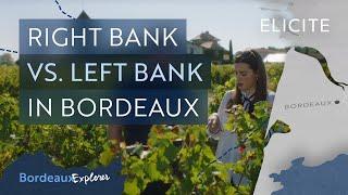 The Basics Of The Bordeaux Wine Region