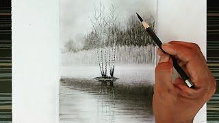 How to draw birch trees nature landscape by pencil easy ways.