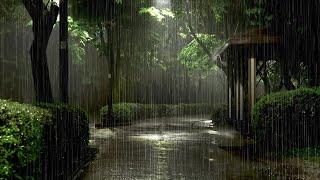 Rain sounds in the park at night with heavy rain - White noise for stop thinking, calming the mind