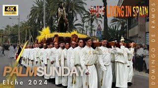 Elche Palm Sunday | Domingo de Ramos Elx 2024