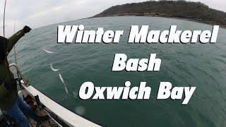 Winter Mackerel Bash Oxwich Bay