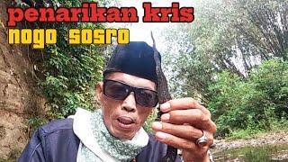 USTADZ HERMAN HR MELAKUKAN PENARIKAN PUSAKA KRIS NOGO SOSRO