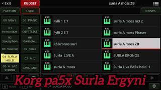 korg pa5x Surla