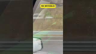 당장 내차도 이런지 확인해보세요 !