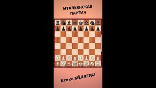 Шахматы. Ловушка в Итальянской партии. Атака Мёллера! #Shorts