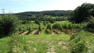 1790  Slenaken-Hoogcruts (Limburg, NL) 7 km