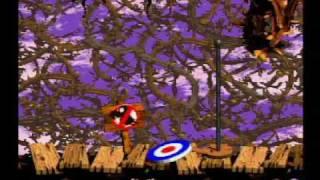 Donkey Kong Country 2: Diddy's Kong Quest: Screech's Sprint