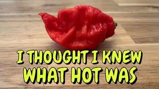 THE WHOLE GAME CHANGED FOR ME TODAY! Do Scoville Heat Units matter anymore? Not to me! Here's why...