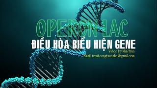 ĐIỀU HÒA BIỂU HIỆN GENE | SINH HỌC 12 BÀI 3 | BIOLOGY