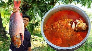 10 Kg Big Fish Cooking Recipe | Cooking Skill - Eating delicious - big fish Curry |Village Food