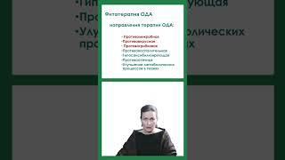 Основные направления действия лекарственных растений #фитотерапия