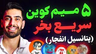 5 میم کوین با سود 100 برابری که نباید از دست بدید