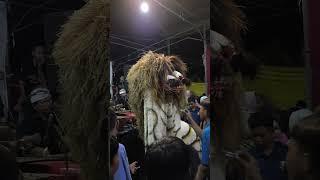 Traditional dance singo barong Ngesti wargo budoyo