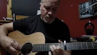 Acoustic Ambient Guitar on Flamma Reverb FS02 Pedal