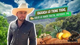 Oaxaca lo tiene todo, solo le hace falta, usted!!! P6.