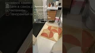 Зеркальный дом с баней внутри - Лось и лес🫎 Томск #томск #томскаяобласть #втомске