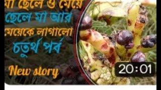 Malabar Spinach plan   Natural Blog Spinach   Around My House   Radhika Blog EP 04