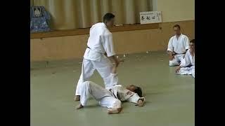 Shodokan Aikido's Nariyama Shihan teaching at Gryon - Day 2