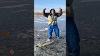 My big pike #fishing #icefishing #life