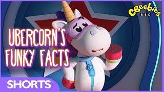 CBeebies | Go Jetters Funky Facts | 16 Minutes