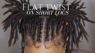 Trying A New Loc Style | Flat Twisting My Locs | 7 Weeks Post Retwist