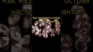 УЗНАЙ НОВОЕ (часть-1) #shorts #развитие #опрос #видеодляглухих #узнайновое