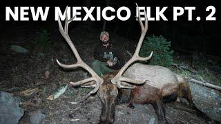 THE PERFECT ELK HUNT | NEW MEXICO RIFLE ELK | 4K HUNT FILM