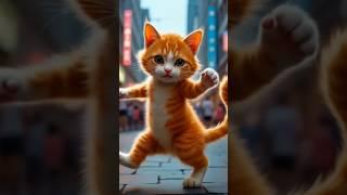 #cat #cutecate #funnycate #funny #cute #catie #comedy #catee #cartoon #cattos