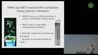 EMBL Keynote Lecture - Germline reprogramming and epigenetic inheritance of transposable elements