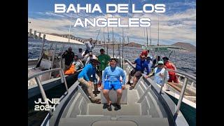 Fishing Trip to Bahia De Los Angeles - June 2024