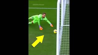 Impossible Goal Line Saves