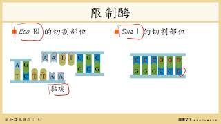 108選生一4-5生物科技_1製作重組DNA