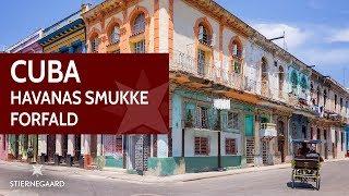 Rejser til Cuba - Havanas smukke forfald | Stjernegaard