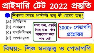 primary tet preparation 2022 | wb primary tet preparation 2022 | primary tet cdp class | TET 2022