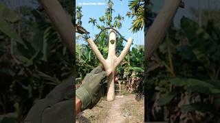 Crazy slingshot short video.  #gun #diy #bamboo gun #bamboo #how