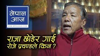 'राष्ट्रिय जनावर हुँदैमा मासु खान नहुने भन्ने के छ !' | Aangkaji Sherpa | Nepal Aaja