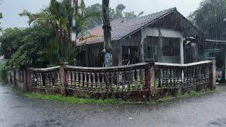 Heavy rain in the middle of rural Indonesia||a suitable and peaceful place||rain video