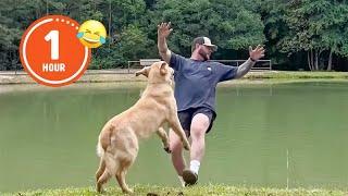 FUNNIEST Pets of 2024  | BEST Compilation