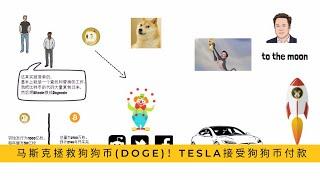 马斯克拯救狗狗币(doge)！TESLA接受狗狗币付款