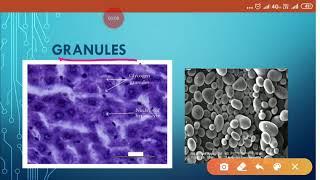 Granules