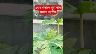 প্রথম রাকাতে সূরা নাস পড়লে করনীয় #ahmadullah #ফতোয়া #ইসলামিক_ভিডিও #shorts