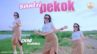 Dj Santri Pekok - Dini Kurnia (Genduk denok santri lulusan pondok isih perawan dorong tau kedemok)