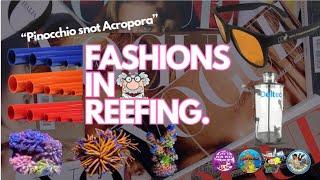 FridayNight live:  Fashions in Reefing