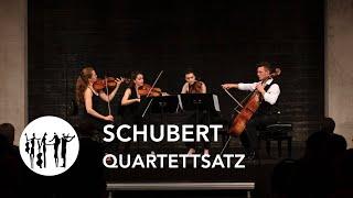 Schubert: Quartettsatz · c-moll · D 703 | Javus Quartett