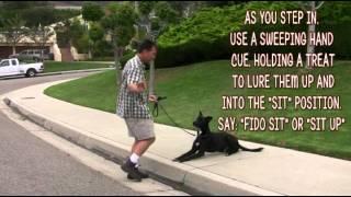 Dog Training -Down To Sit-