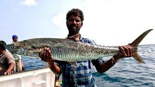 Catching King Mackerel in the Deep Sea #fishing #fishingvideo