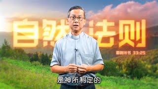 Link Building | 不要抗拒自然法则 | 22-1002