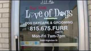 Fur the Love of Dogs Spring Grove Illinois